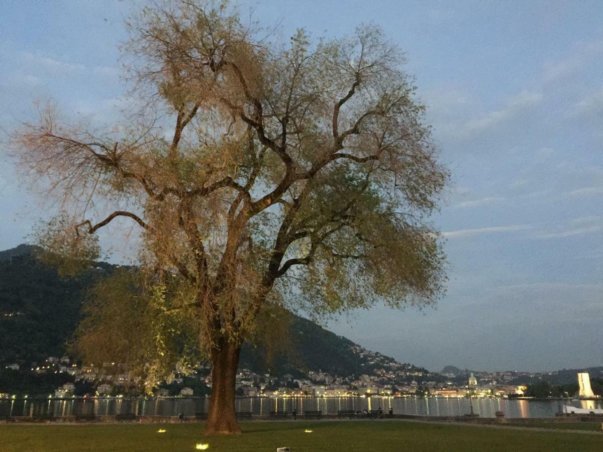 Iris 2 Lago Di Como Dongo Extérieur photo