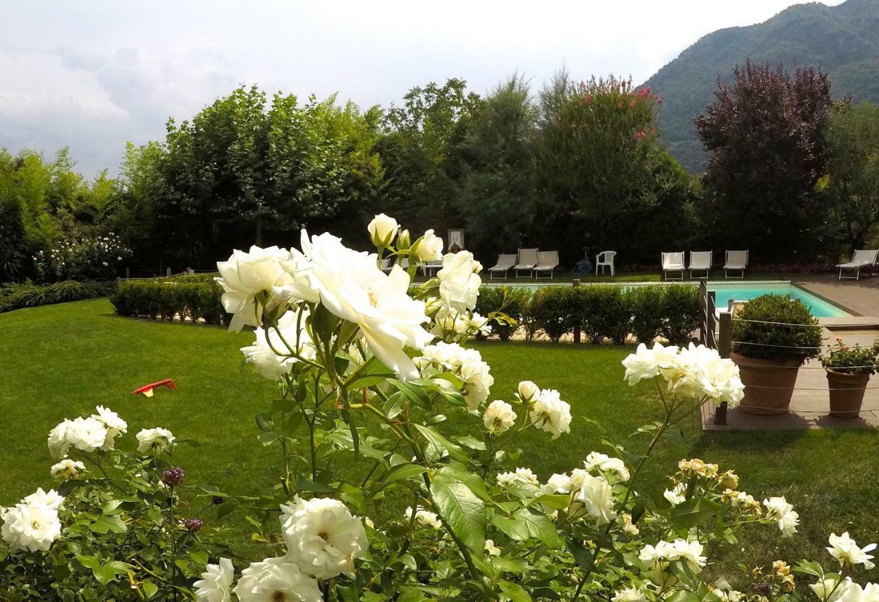 Iris 2 Lago Di Como Dongo Extérieur photo